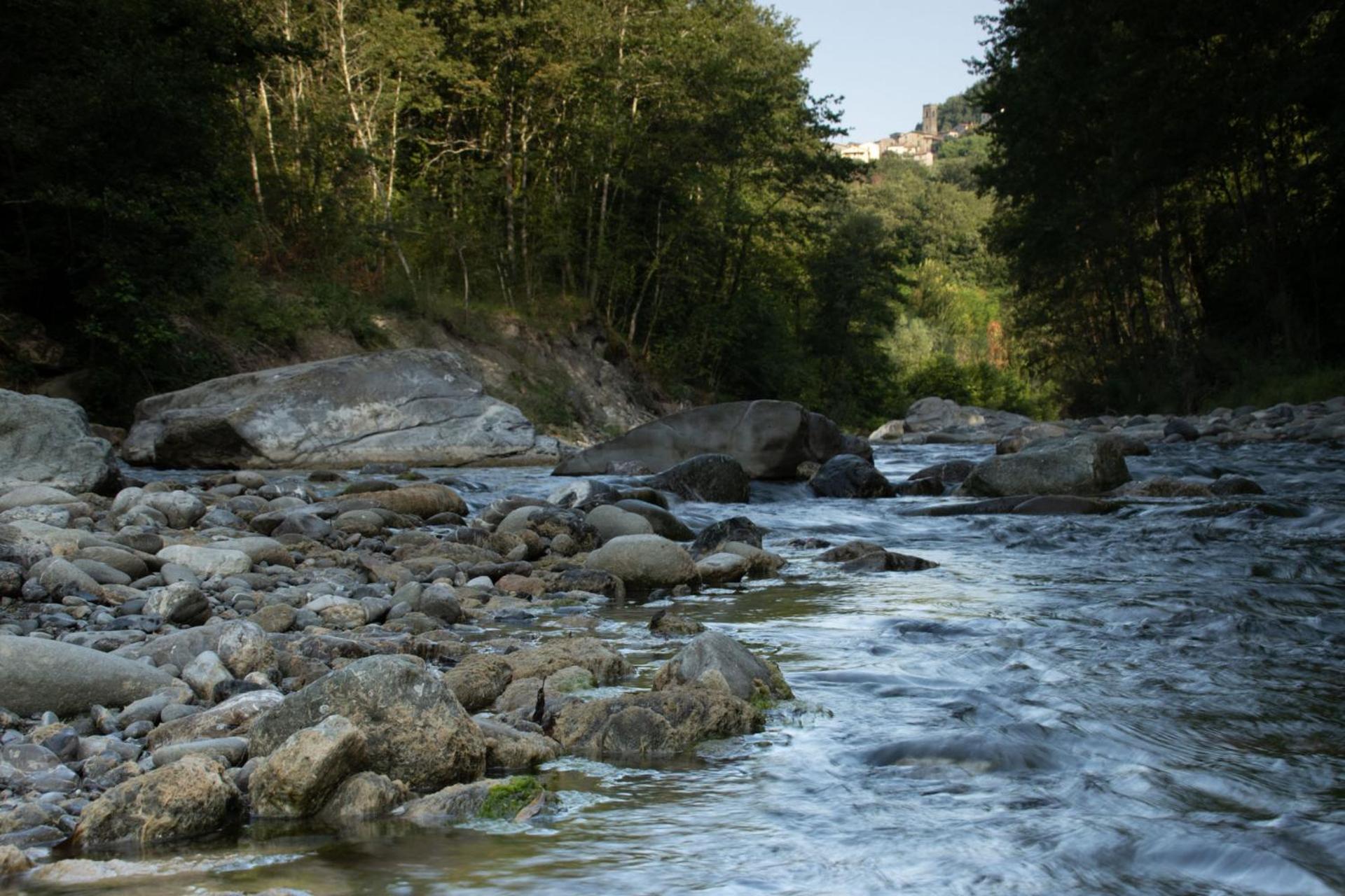 Borgo Del Sole Agriturismo Poggio  외부 사진